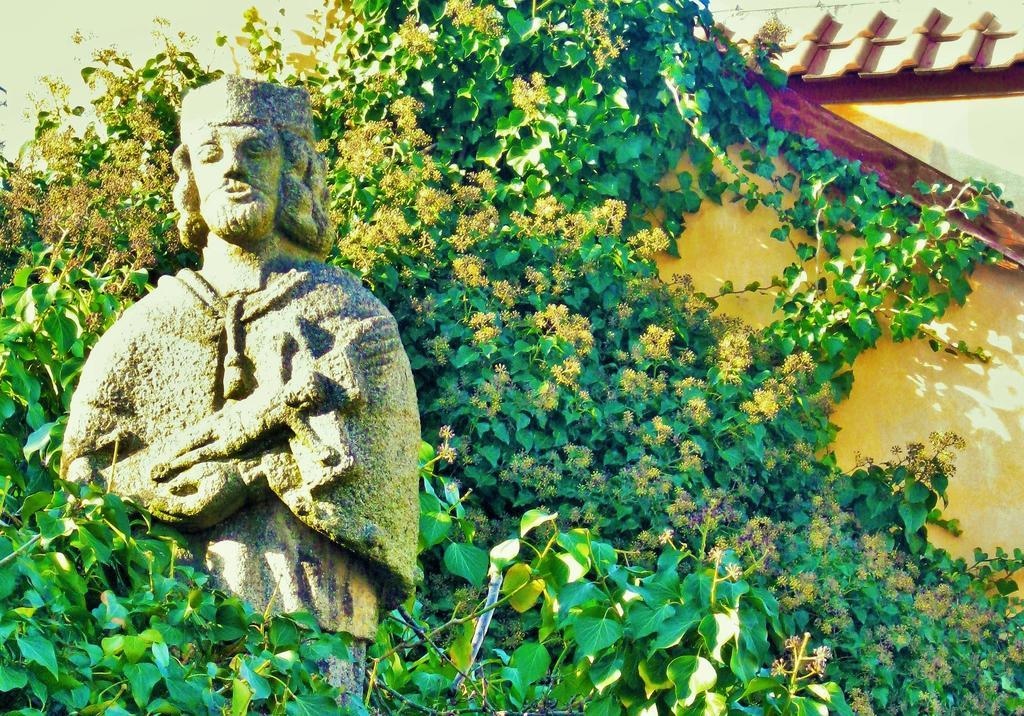 Garden Residence Prague Castle Eksteriør billede